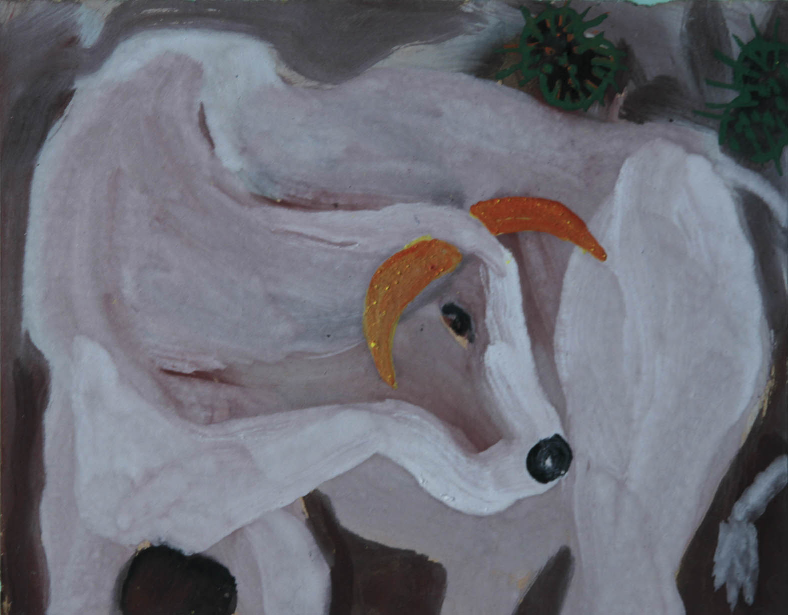 Bò sừng vàng